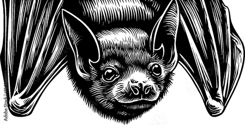 Black and white woodcut of an upside down hanging bat for artistic design