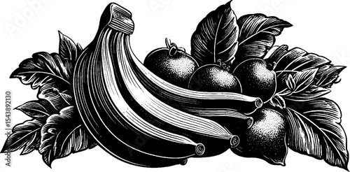 Black and white cornucopia with fruits and leaves for rustic design