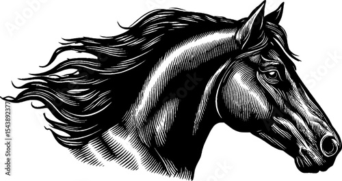 Majestic black kelpie with flowing mane and water droplets - mythical creature art