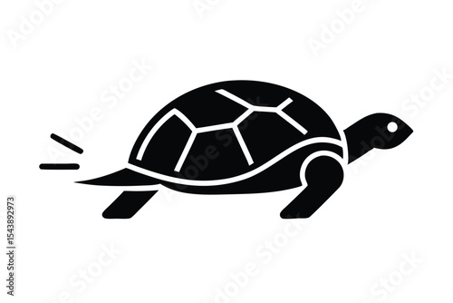 turtle vector illustration