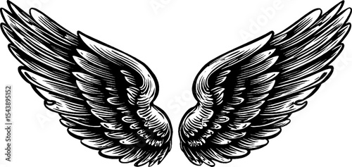 Black and white angel wings open wide for spirituality and design
