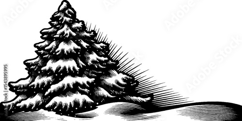 Winter scene black and white pine tree illustration for seasonal design