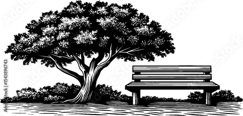 Serene outdoor scene of bench and tree in black and white woodcut style