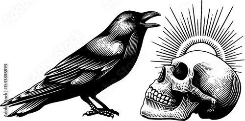 Gothic raven perched on skull with sunburst design in black and white