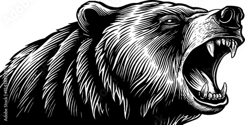 Roaring bear head black and white woodcut engraving for wildlife art design