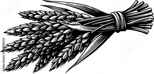 Black and white illustration of wheat sheaf tied with twine for rustic designs