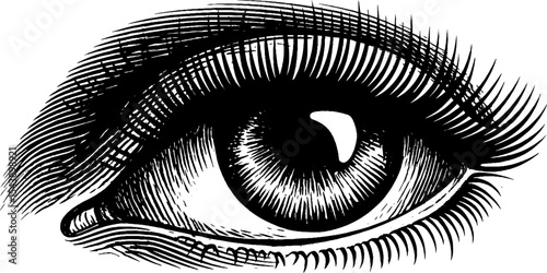 Detailed black and white illustration of a single eye with long lashes