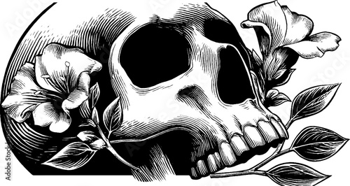 Skull with flowers emerging from eye socket – surreal art for dark botanical design