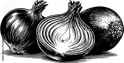 Monochrome illustration of sliced onion with visible rings for culinary design