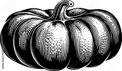 Black and white illustration of a bumpy skinned gourd on wood background