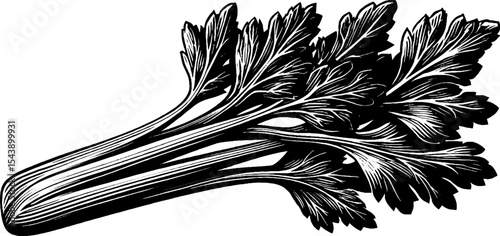 Black and white celery stalk with leafy top art for kitchen decor