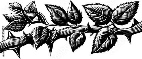 Black and white thorny branch with leaves - nature design for art and decor