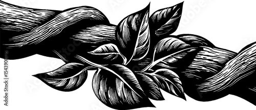 Organic elegance: black and white vine twisting around branch for nature-inspired designs