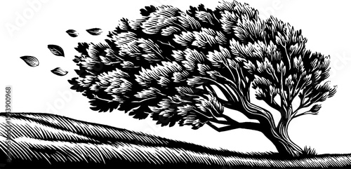 Windy autumn tree shedding leaves in black and white, nature theme for seasonal design