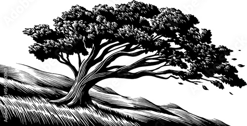 Windy tree shedding leaves in black and white - nature concept for minimalist designs