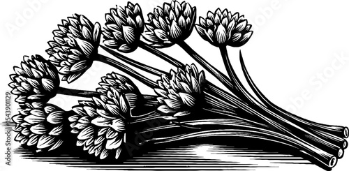 Chopped chives pattern in black and white for kitchen decor and culinary designs
