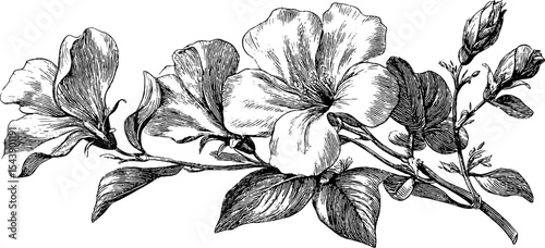 Detailed floral silk scarf design with flowing breeze motif