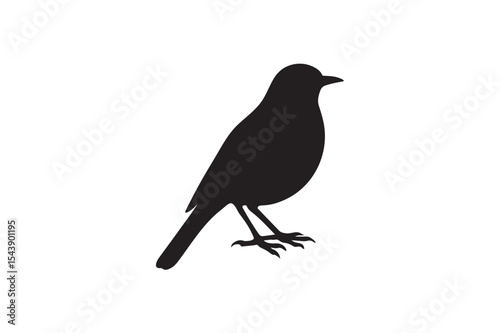 american robin silhouettes. photo