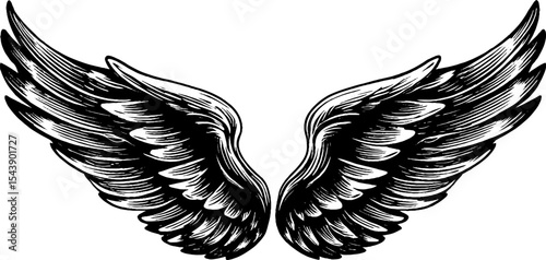 Elegant wing design forming a symmetrical circle for artistic and decorative use