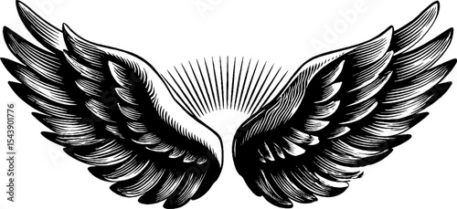 Symmetrical wings forming a circular design for artistic composition and decorative use