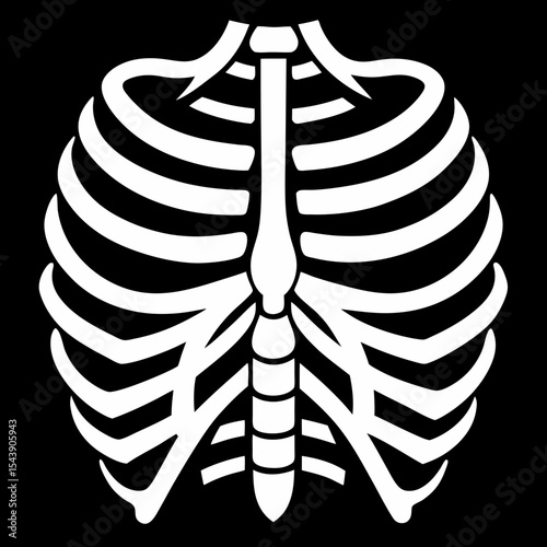 x ray of human skull
