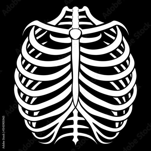 x ray of human skull