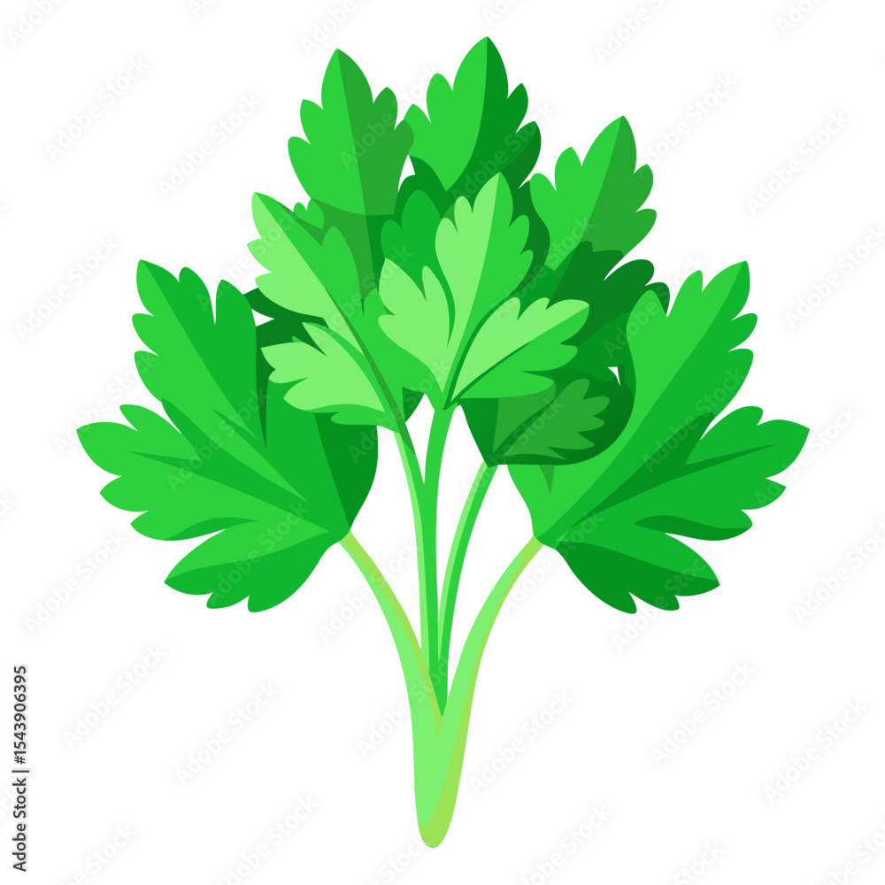 Naklejka premium green parsley isolated on white