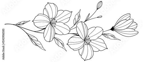 flower and leaves drawing. Vector hand drawn engraved floral card. Botanical, branch and flower Black ink sketch. Great for tattoo, invitations, greeting cards, decor