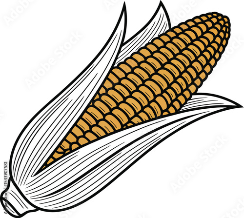 Illustration of an ear of corn with husk on a plain background drawing style