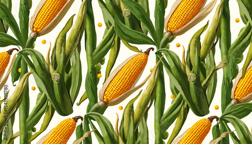 Detailed Corn Botanical Illustration with Agricultural Elements