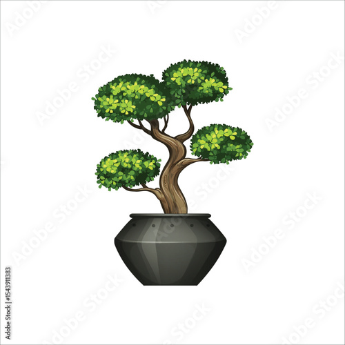 Green bonsai tree in dark grey pot illustration