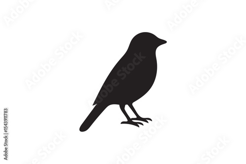 canary silhouettes.