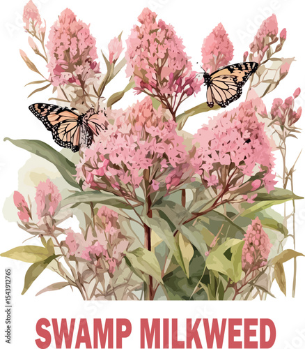 Swamp Milkweed Wildflower Art Print – Monarch Butterfly Pollinator Plant in Wetland Scene Digital Watercolor logo vector .

