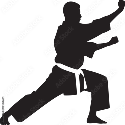 Silhouette of a person in a karate stance wearing a white belt on a white background in a studio shot