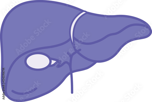 Colored Liver Icon. Vector Illustration. The Largest Internal Human Organ. Concept Anatomy