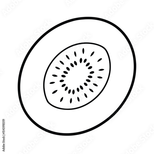 Kiwi fruit cross section presented in artistic refined line illustration Vector illustration