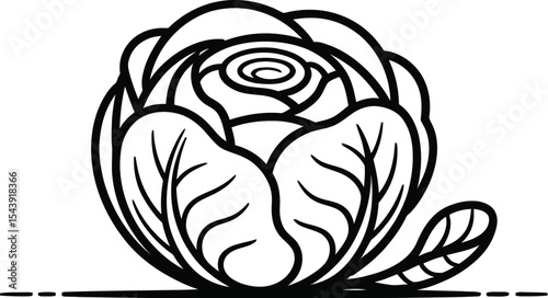 A simple black and white line drawing of a cabbage with a single leaf aside