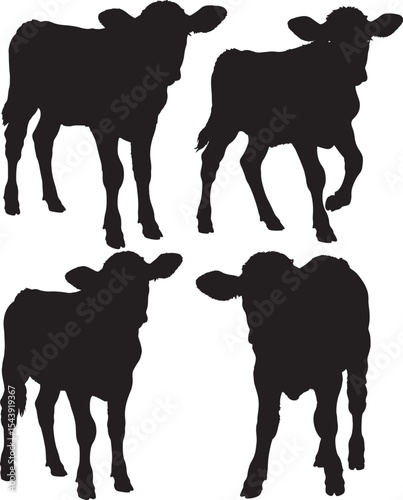 Calf standing pose silhouette vector illustration