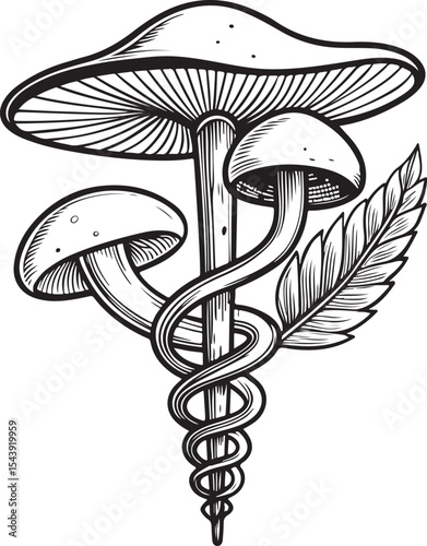 Medicinal mushrooms psilocybin Vector Illustration, Sketch Drawing Line Linear Symbol Icon Engraving Coloring Book, Hand-drawn Black and White Isolated