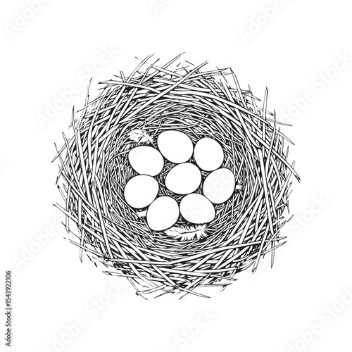 Hand drawn easter eggs in nest line art illustration