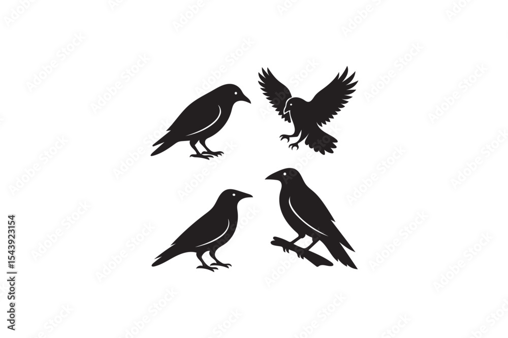 Fototapeta premium Crow and Raven Silhouette.