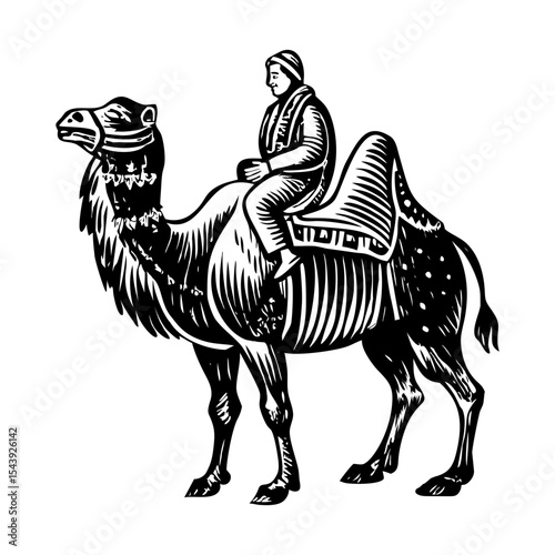 A vintage style illustration showing camel ride