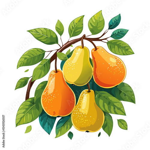 Pears on a branch vector color illustration. Ripe fruits with leaves for packaging and design