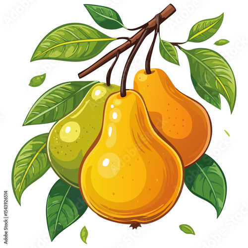 Pears on a branch vector color illustration. Ripe fruits with leaves for packaging and design