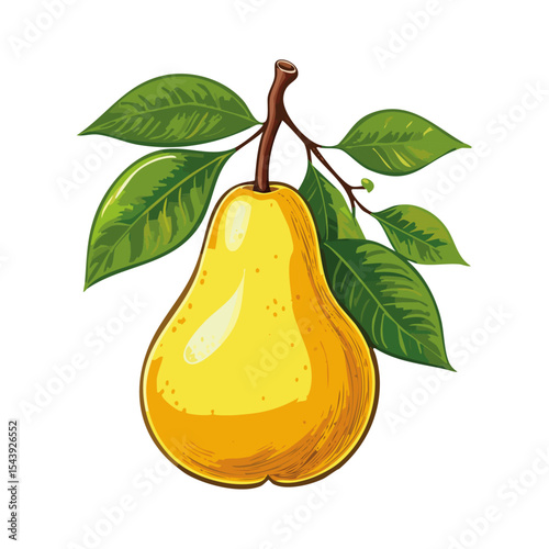 Pear on a branch vector color illustration. Ripe fruit with leaves for packaging and design