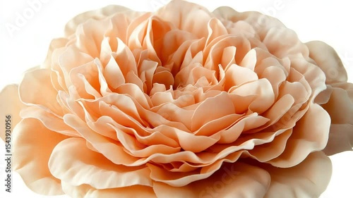 Close-up of a large, peach-colored artificial peony flower.