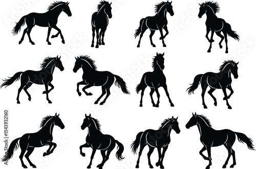 Collection of Horse Silhouettes Vector Illustrations of Horses in Various Poses