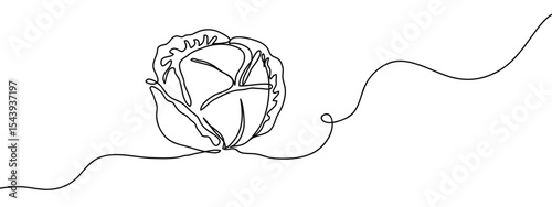 continuous line, turnip Simple art lines on transparent background, editable strokes.