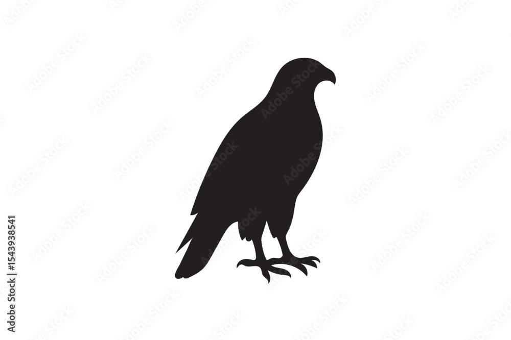 Obraz premium falcon silhouette