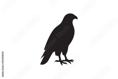 falcon silhouette